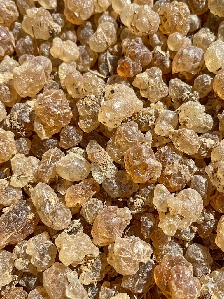Gum Arabic